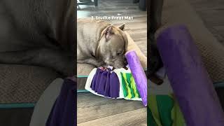 Attila’s Amazon Finds 😊❤️😍 #americanbully #pets #puppy