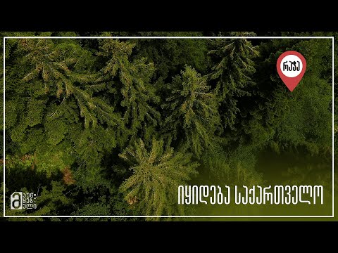 იყიდება საქართველო