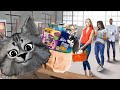 Kendi SÜPERMARKETİMİ Açtım | En Kaliteli Kedi Mamaları Burda