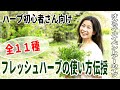 アーカイブ初公開🌿フレッシュハーブ活用講座ダイジェスト版