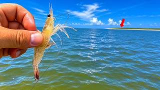 Jet Ski Fishing with LIVE SHRIMP… INSANE What Happened Next!