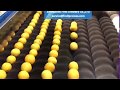 Lemon processing line citrus washing drying waxing grading machinefirst industry