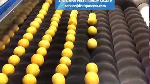 lemon processing line, citrus washing drying waxing grading machine(first industry)