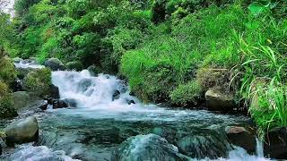 Gentle river sounds for relaxation and meditation