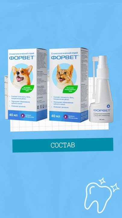 #форвет #стоматология #состав #спрей #животные #ветеринария - YouTube