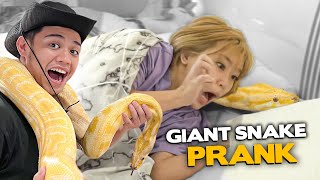 GIANT SNAKE PRANK sa BG HOUSE - AWAY NA 'TO!