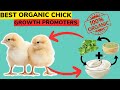 5 BEST NATURAL ORGANIC  Supplements FOR CHICKS. FASTER Growth. ZERO DEATHS. Improved IMMUNITY.
