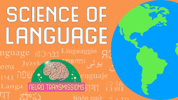 The Neuroscience of Language