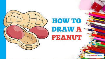 How to Draw a Peanut in a Few Easy Steps: Drawing Tutorial for Beginner Artists