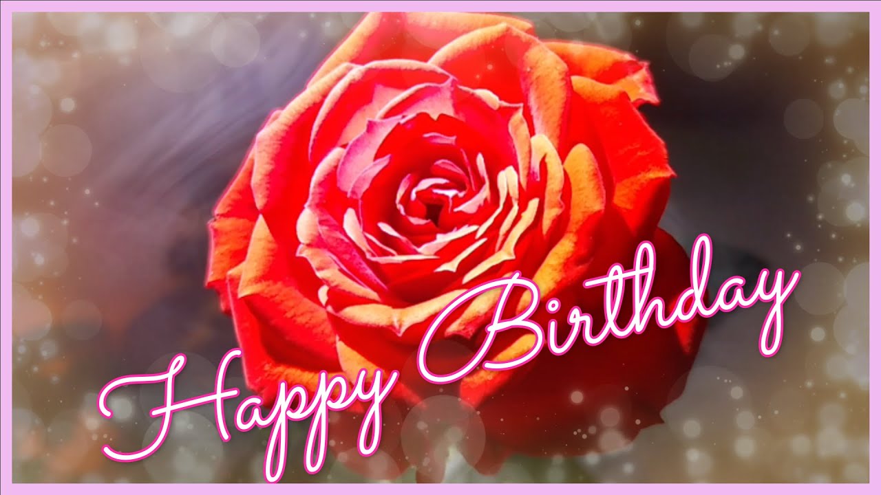 バースデーカード 02 Happy Birthday Video Card お誕生日おめでとう Happy Birthday To You メッセージカード 赤いバラ Red Rose ミニバラ Youtube