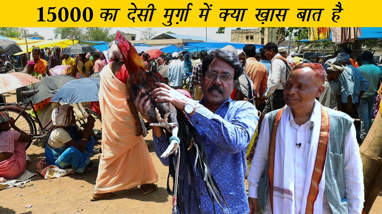 चाईबासा के मंगला हाट में 15 हज़ार का मुर्गा | The famous Mangla Bazaar of Chaibasa, Jharkhand |