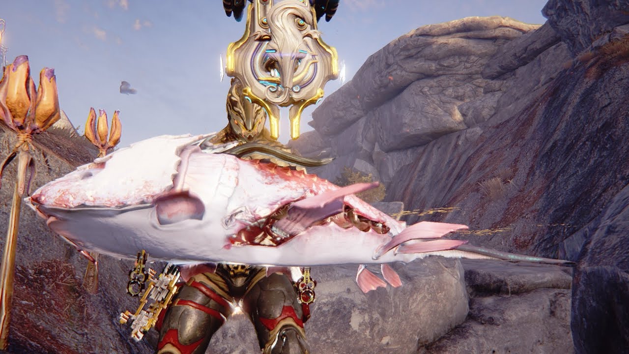 Warframe PoE - How to get Fish fast! 
