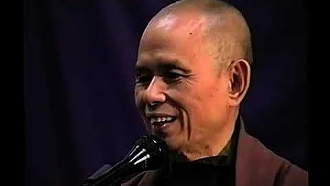 療癒內在的傷痛 | 一行禪師開示 31.05.1998 - 天天要聞