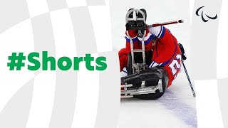 A very calm and gentle sport 😇 🤣   #ParaIceHockey #SledgeHockey #Shorts