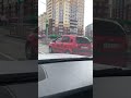 Пришла весна, начали выползать «божьи коровки» 😁