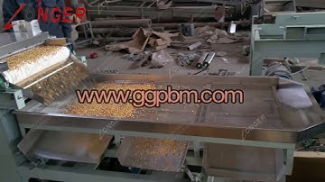 Industrial Peanut Hazelnut Chopper Machine|Nut Cutting Equipment www.ggpbm.com