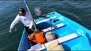 Estos peces destrozan mi señuelo , impresionante cardumen gigante