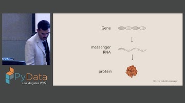 Manu Flores: Analyzing Genetic Networks Using Neural Networks | Pydata LA 2019