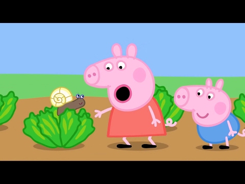 Видео: Свинка Пеппа все серии подряд Эпизод #35 Мультики для детей Мультфильм Peppa Pig HD
