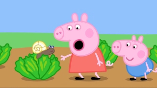 Свинка Пеппа все серии подряд Эпизод #35 Мультики для детей Мультфильм Peppa Pig HD