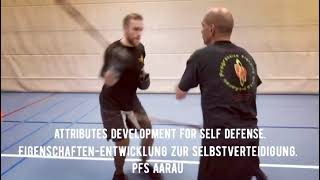 PFS AARAU - Attributes development - Stick and Knife Numerada