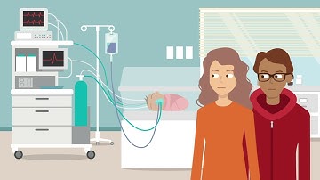 P.M. v. T.B. Case Brief Summary | Law Case Explained