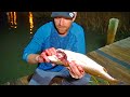 Secret Trick for Cleaning Redfish {GRAPHIC}