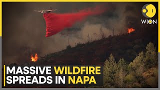 California Wildfire: Pickett Fire Prompts Evacuation Orders in California’s Napa County | WION