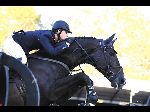 Classic || Equine Jumping Music Video