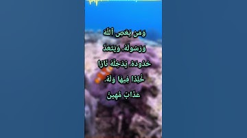 سورة النساء ٠٤:١٤ ترجمة القرآن الكريم تلاوة جميلة