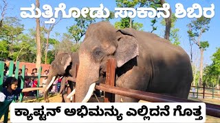 Mathigidu elephant camp 🐘 captain Abhimanyu