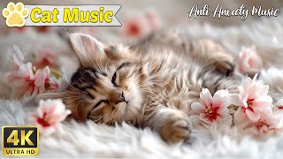 Cat's favorite relaxing piano music and cat purring sound 🐱Best piano collection for cats by Music For Cats 1,214 views 7 days ago 23 hours