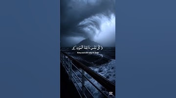 ما تيسر من سورة العنكبوت بصوت القارئ عبد الرحمن مسعد#قرآن #قران_كريم #الله