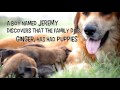 Good boy, Achilles!
