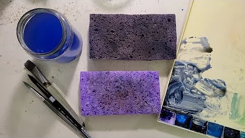 Sponge Lesson