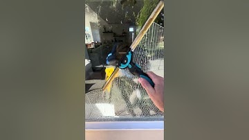 Window Cleaning | How to fan a window #windowcleaning