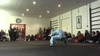 Shaolin Drunken Monk Form
