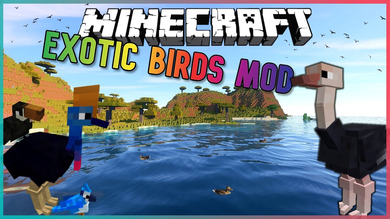 Minecraft birds. Майнкрафт 30+. Exotic Mod. Riding Birds Minecraft.