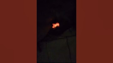 de4d presidents by illatheillastrator (lq snippet 2)