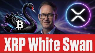 XRP Gains 44 Million Users , Ripple CEO On Clarity Act Passage & Bitcoin Black Swan
