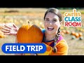 Pumpkin Patch Field Trip! | Caitie&#39;s Classroom | Learn How To Make A Jack O&#39;Lantern