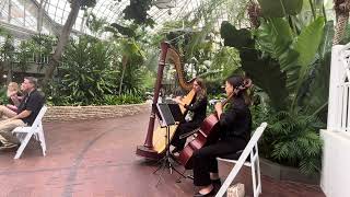 You Raise Me Up harp and cello duo Tiffany Jones harpist