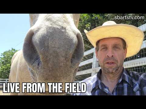 Half Hour at the Malibu Ranch – Feeding & Playing with the Horses