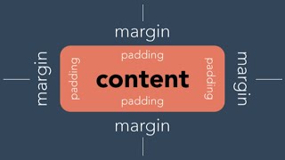 Celebrity Basic margin tricks|| HTML & CSS. Profile