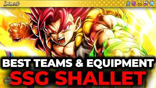 Best TEAMS & EQUIPMENTS For LEGEND SSG Shallet 8th Anniversary! (Dragon Ball Legends) screenshot 4