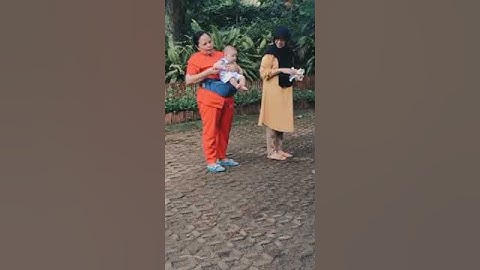 Ditinggal Irish Bella kerja, Baby Air dikejar soang? #shorts #bandungpisan #ngeshortsbareng