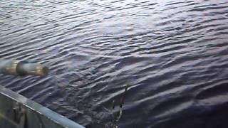 Spring Pan Fishing with Ultra Lites Twin Lakes Ohio - Mr Chomp