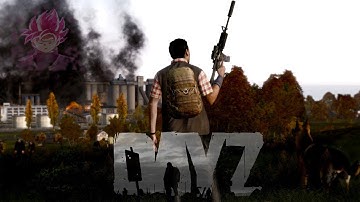 Arma 2: DayZ Mod 2021