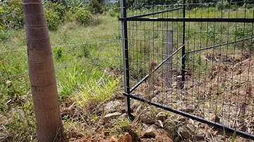 ( Đã bán )Bán đất mặt tiền đường Đinh Công Tráng, xã Đại lào, TP. Bảo lộc. Có 100m2 thổ cư