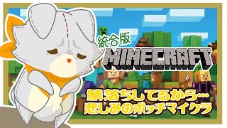 【マイクラ】画面酔いぬいぐるみの悲しみのボッチマイクラ【MINECRAFT 統合版】